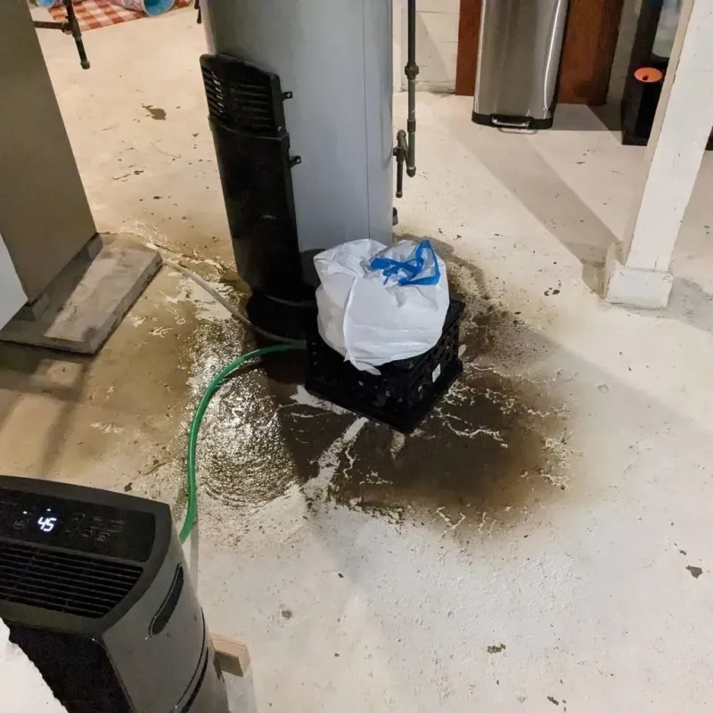 Sewage Backup Cleanup Service in Woodbury, NJ